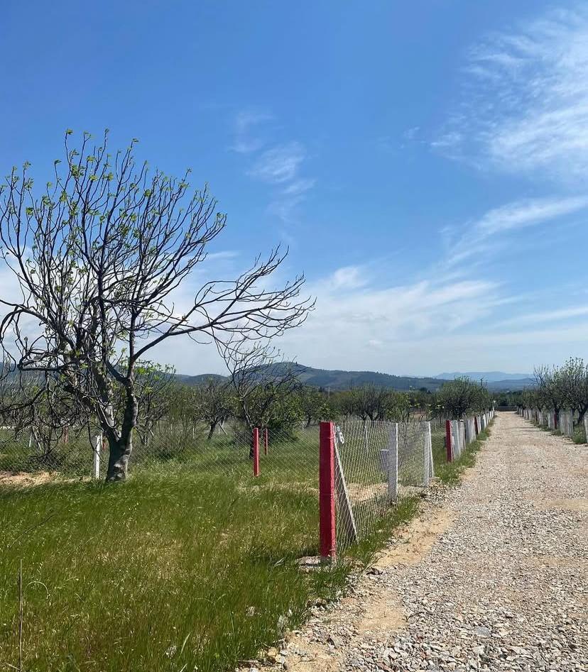 Kardeşler Gayrimenkul 